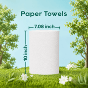 TAD Paper Towels 10inch x 800 Sheets, 6 Rolls | Commercial Automatic Dispenser Towels - ECO-Lipak