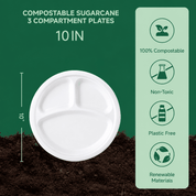 White All-in-One Food & Drink Serving Set for Catering & Gatherings - ECO-Lipak