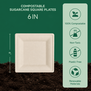 Wholesale Natural Square Compostable Sugarcane Plates – 6 in / 10 in | 1,000/Carton - ECO-Lipak