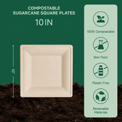 Wholesale Natural Square Compostable Sugarcane Plates – 6 in / 10 in | 1,000/Carton - ECO-Lipak